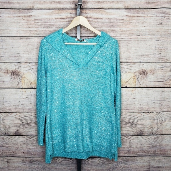 Soft Surroundings Sweaters - Soft Surroundings Aqua Blue Sequin v-neck Sweater